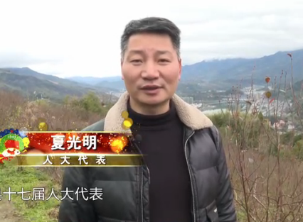 人大代表夏光明：壯大文成水果產業 助力農旅融合發展